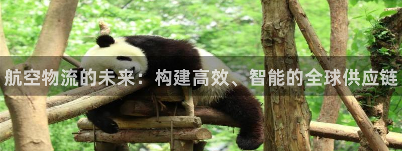 28圈登录流程：航空物流的未来：构建