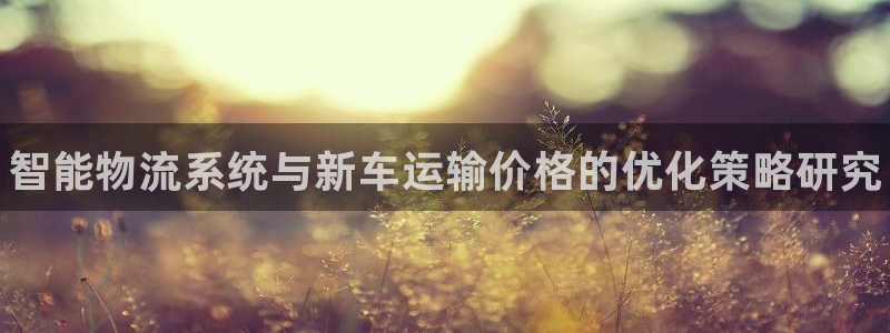 28圈官网注册：智能物流系统与新车运