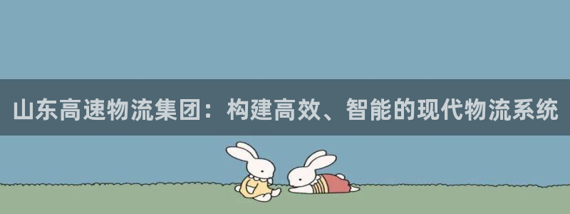 28圈加拿大模拟器：山东高速物流集团：构建高效、智能的现代物