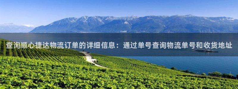 28圈注册网站APP：查询顺心捷达物