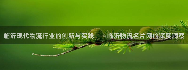 28圈PG电子游戏：临沂现代物流行业