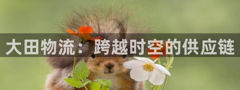 28圈游戏官网入口：大田物流：跨越时