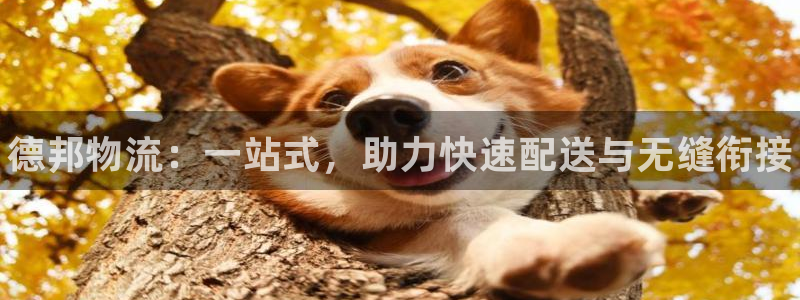 28圈免费充钱：德邦物流：一站式，助