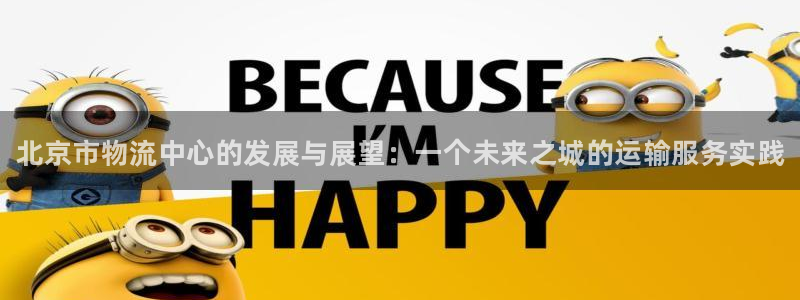 28圈h5链接：北京市物流中心的发展与展望：一个未来之城的运