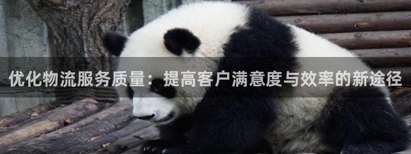 28圈p扣除：优化物流服务质量：提高