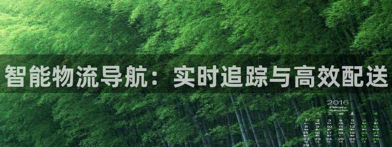 28圈网赌有什么风险:智能物流导航: