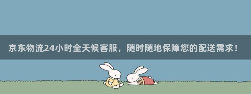 28圈ip被限制怎么解决：京东物流2