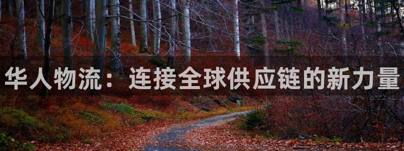 28圈免费充钱：华人物流：连接全球供