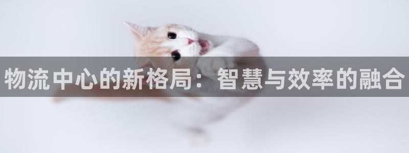 28圈充值为什么充不了：物流中心的新