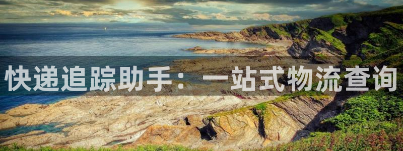 28圈麻将胡了：快递追踪助手：一站式