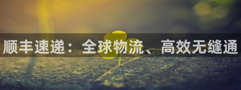 28圈百度百科：顺丰速递：全球物流、