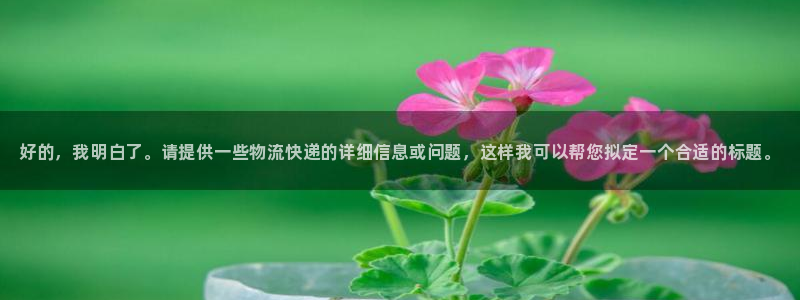 28圈相信品牌的力量：好的，我明白了