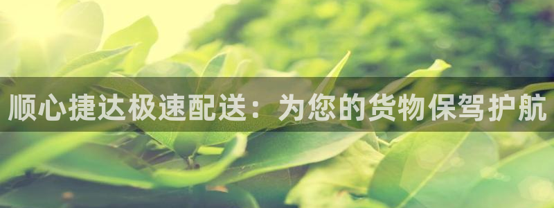 28圈ccm官网版：顺心捷达极速配送