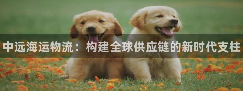 28圈网赌有什么风险：中远海运物流：